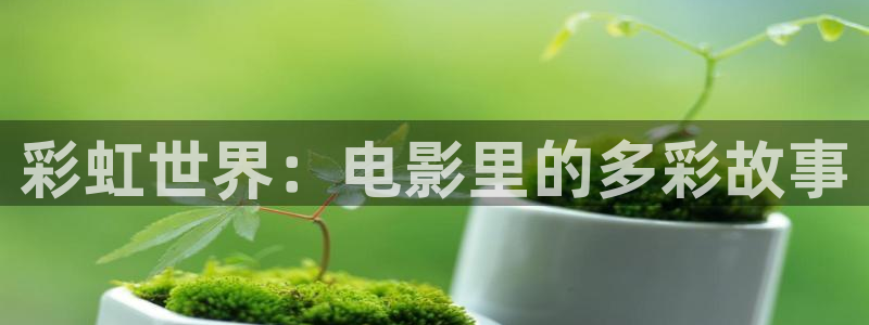 金桔柠檬做法视频：彩虹世界：电影里的多彩故事