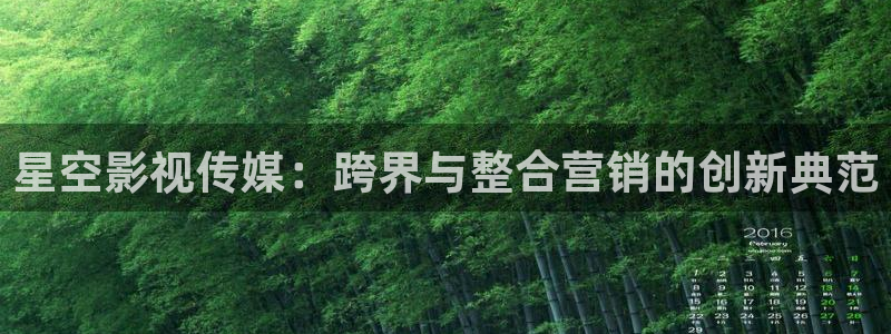 金桔电影：星空影视传媒：跨界与整合营销的创新典范