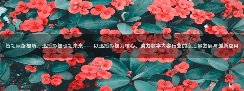 金桔电影
