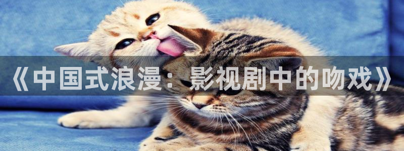 金桔视频下载