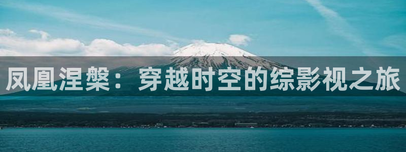 金桔柠檬做法视频