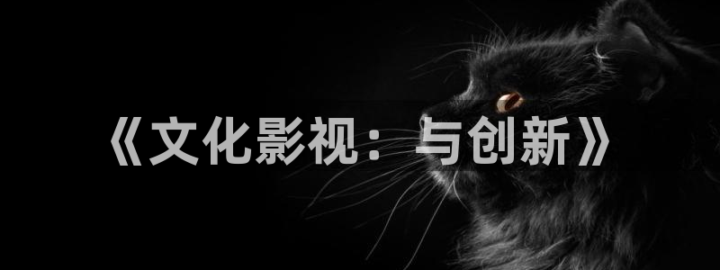 金桔柠檬做法视频：《文化影视：与创新》