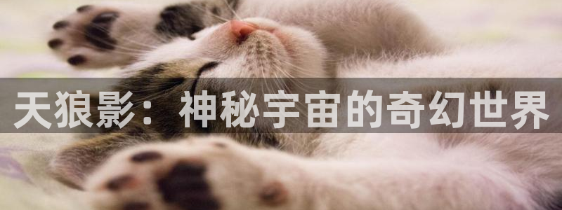 金桔直播视频观看：天狼影：神秘宇宙的奇幻世界