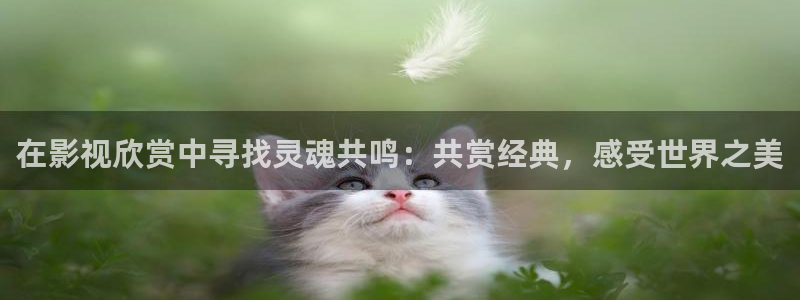 金桔影视在线观看