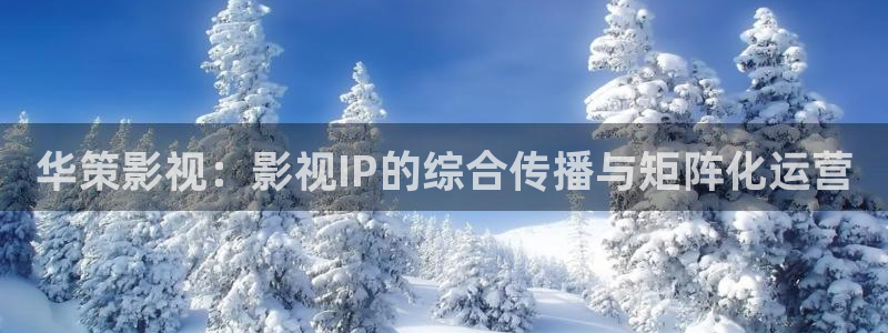 金桔视频免费下载：华策影视：影视IP的综合传播与矩阵化运营
